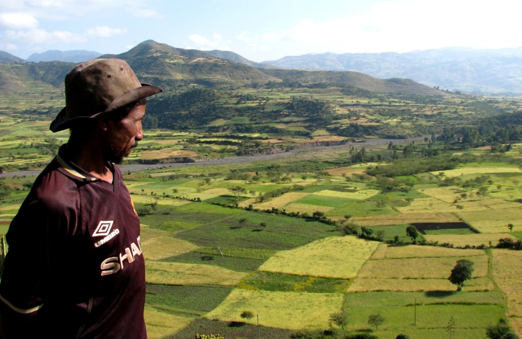 Ethiopia Progresses With GMO Crops Alliance For Science   3bd6583af5a14653b7b54db2c9fe7f3e 1024x664 