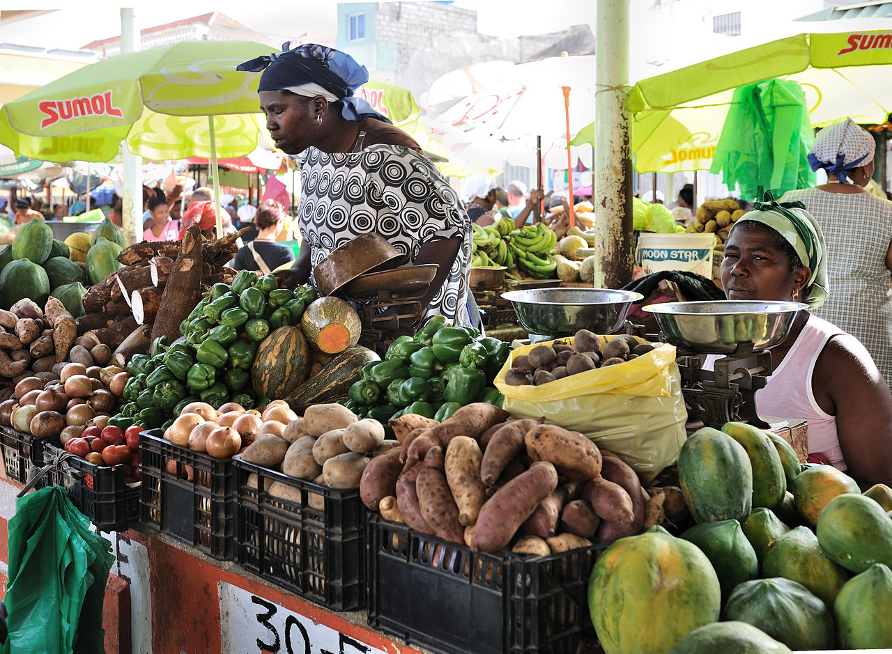 Gene-edited crops can boost global food security, researchers say ...