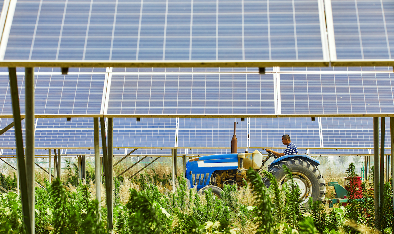 Combining Solar Energy And Agriculture Can Limit Climate Change And 