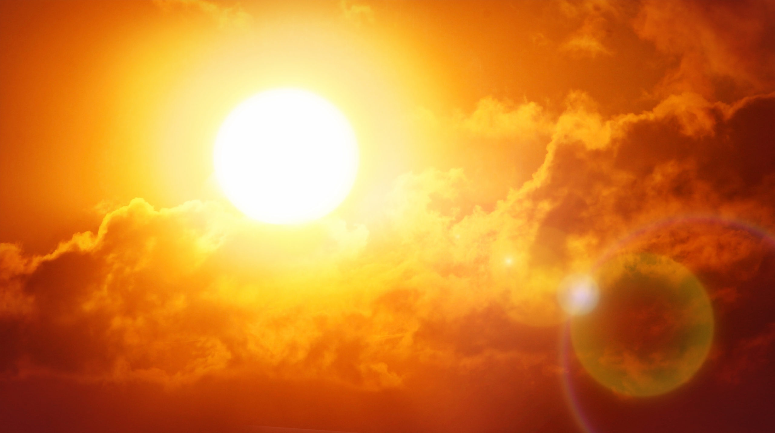 4 ways extreme heat hurts the economy Alliance for Science