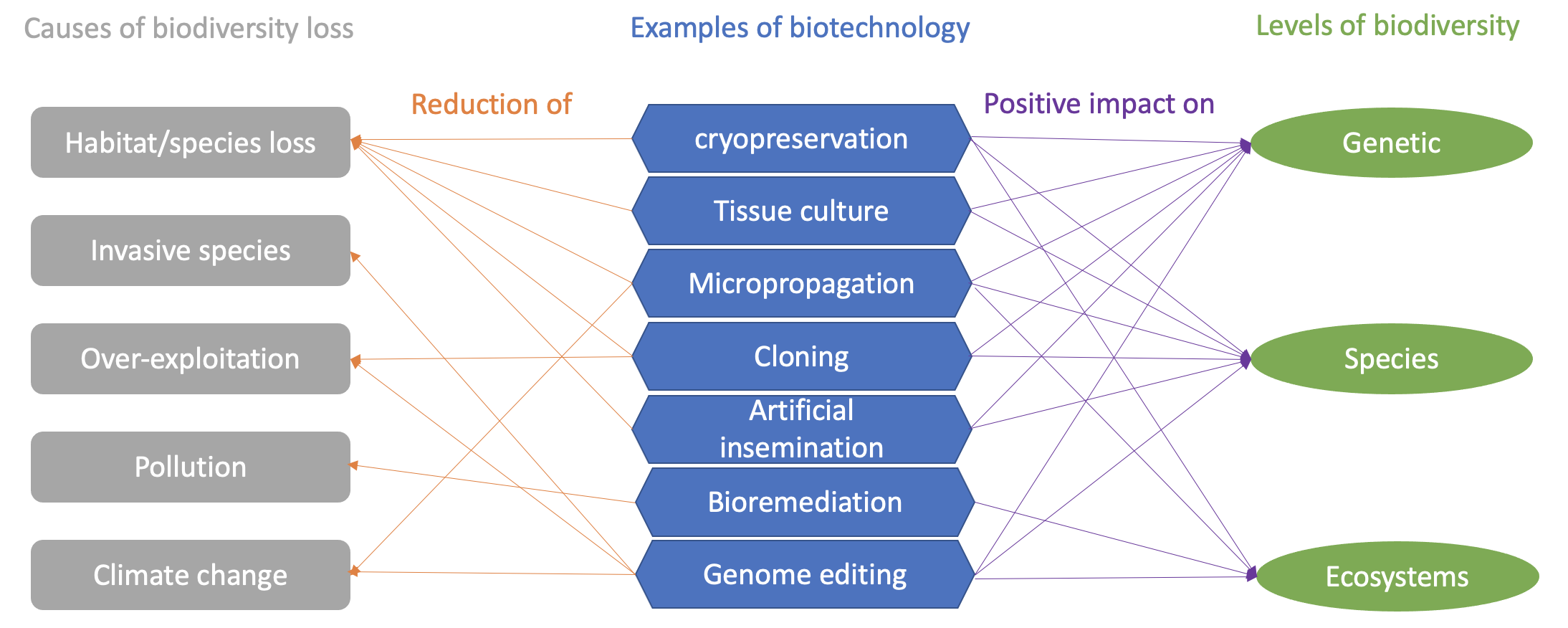 how-biotech-aids-biodiversity-alliance-for-science