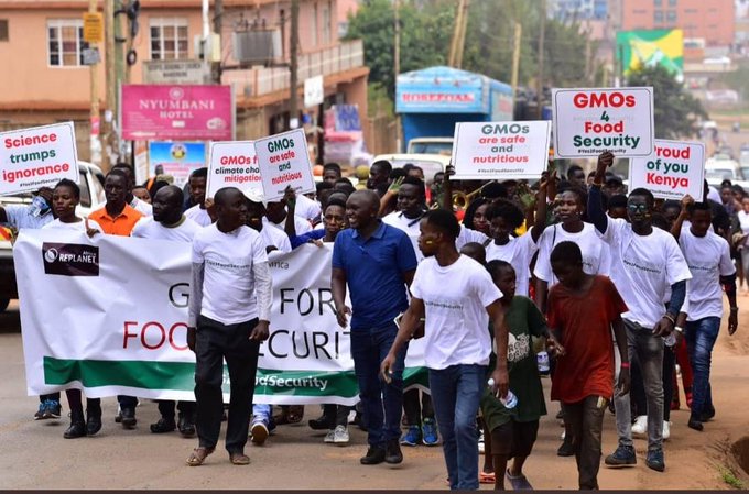 Pro-GMO activists marching in Kamppala, Uganda. [Richard Wetaya]