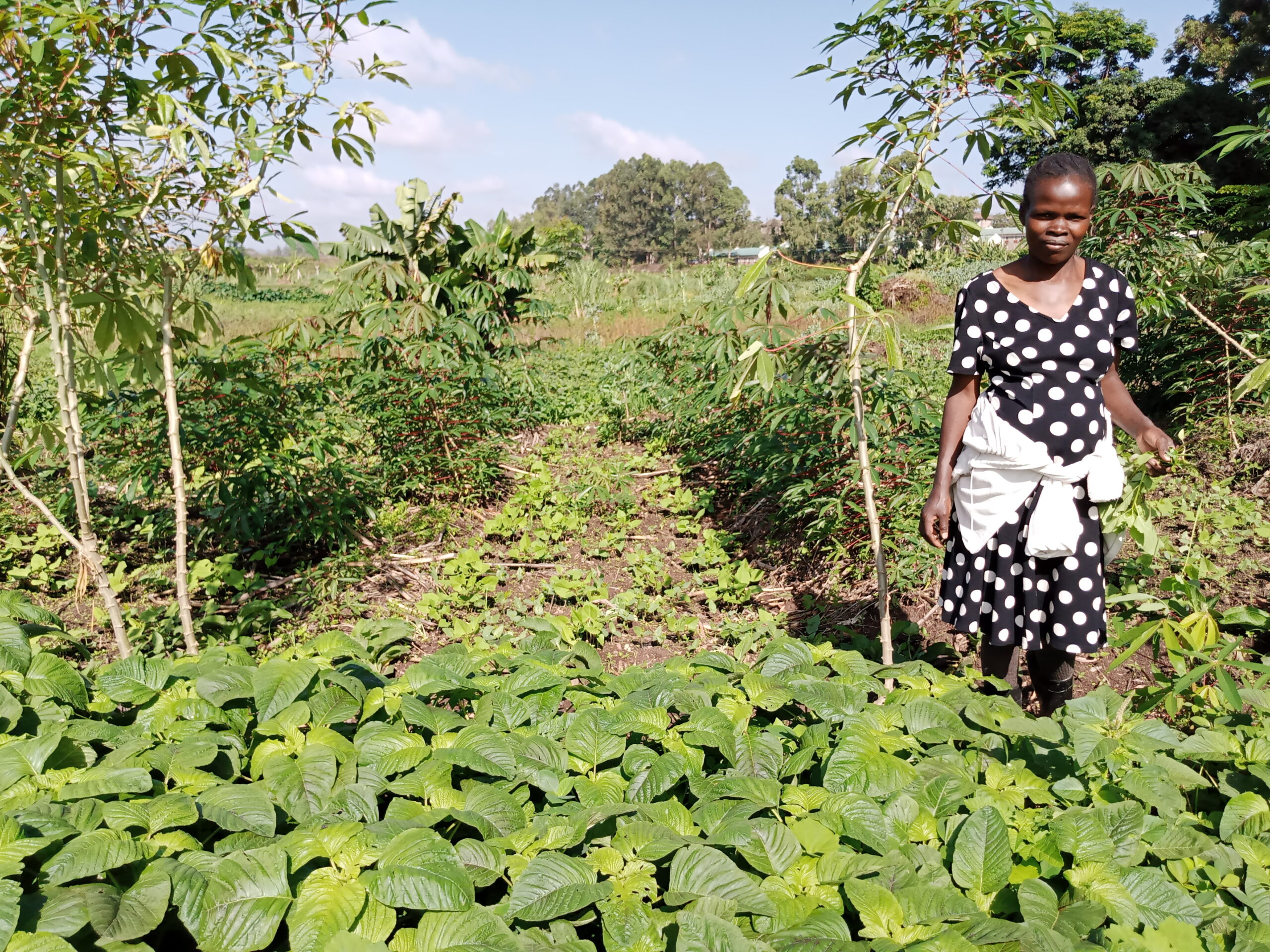 Smallholder farmer in Kenya