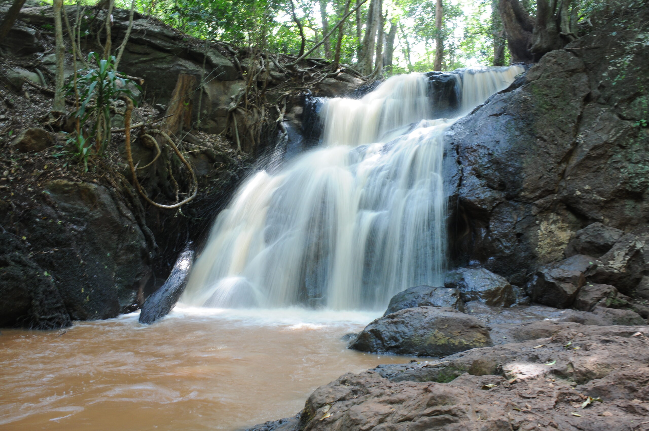 Waterfall in Karura Forest [Manyara Kinoti]