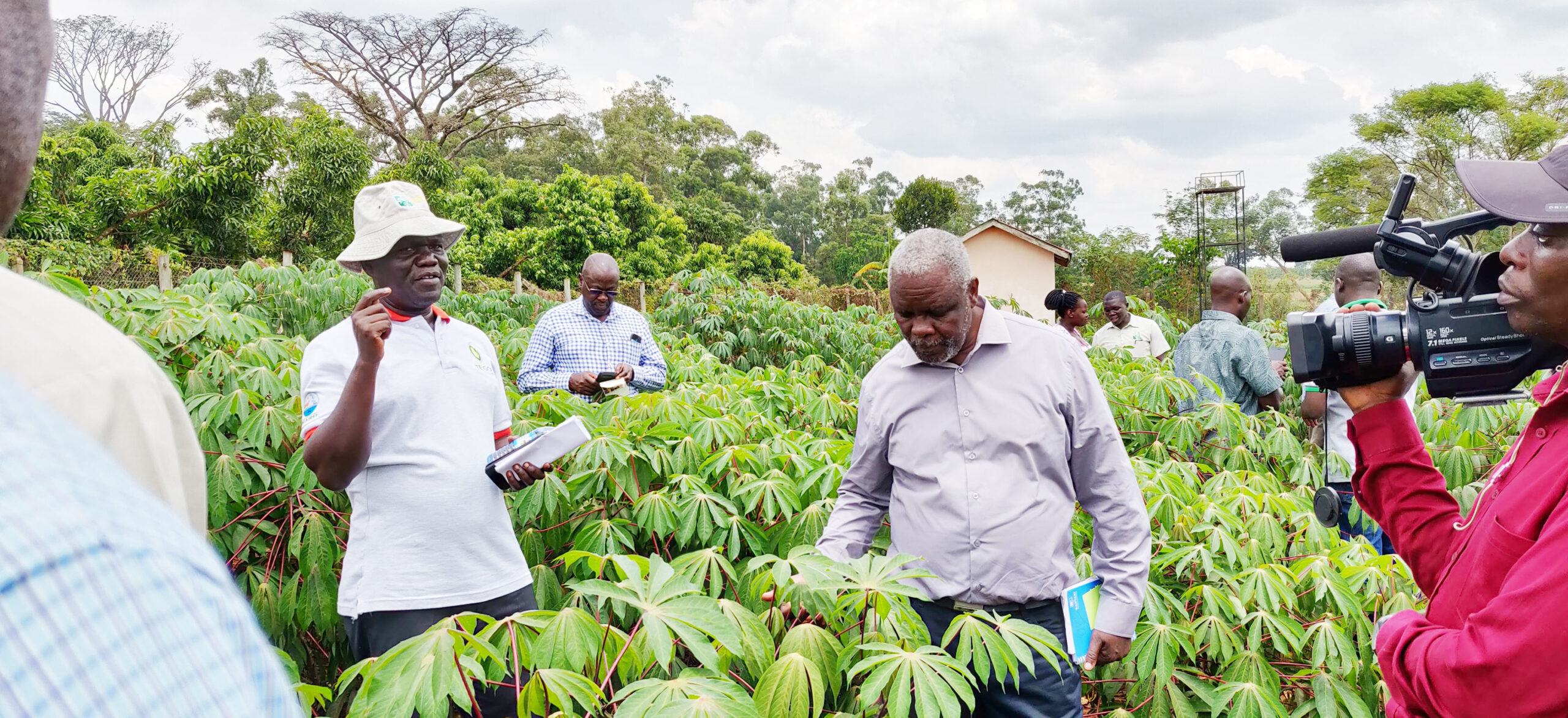 Despite obstacles, Ugandan scientists continue to advocate for GM crops and improved seeds. 