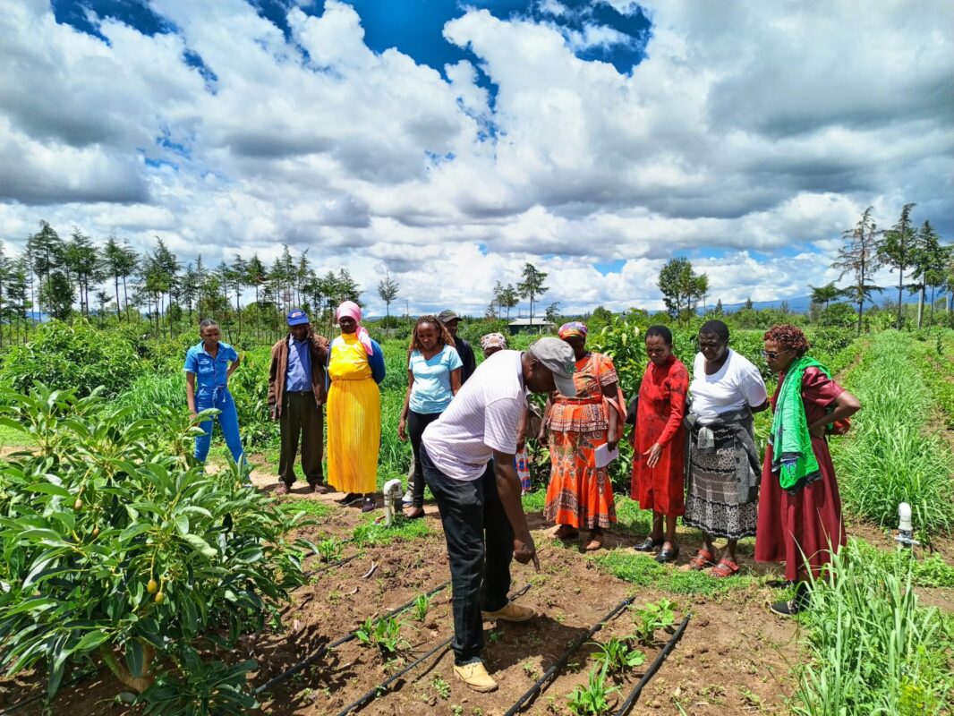 Kenya Community institute helps smallholder farmers adopt climate smart agricultural practices