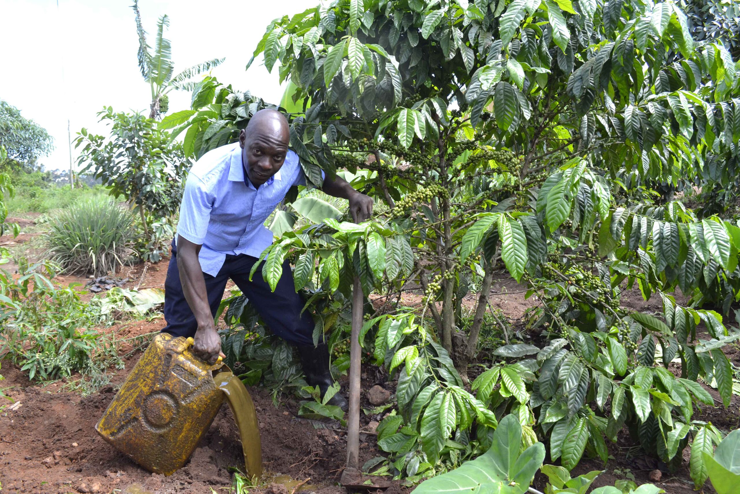 Uganda Biogas digesters