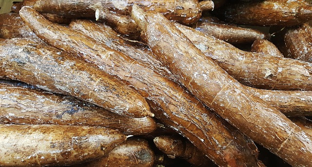 Rwanda agriculture cassava