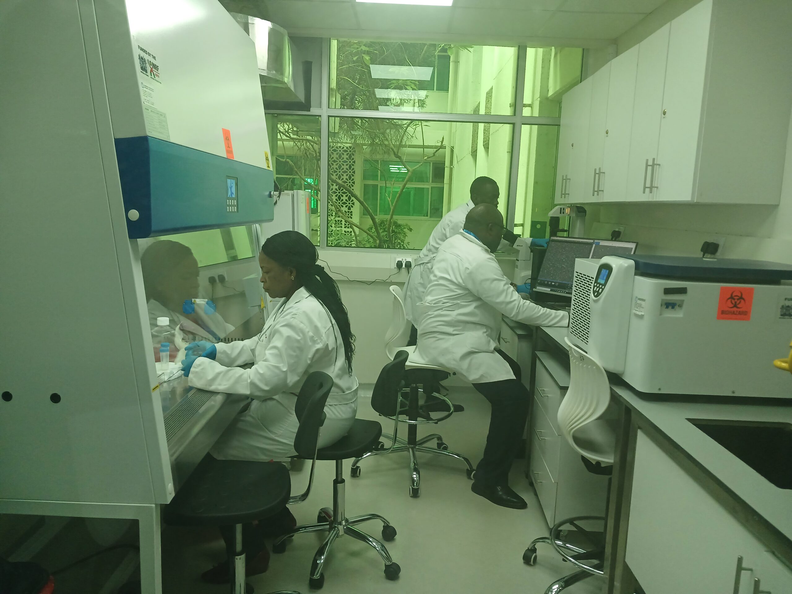 Kenya opens sub-Saharan Africa’s first stem cell research laboratory