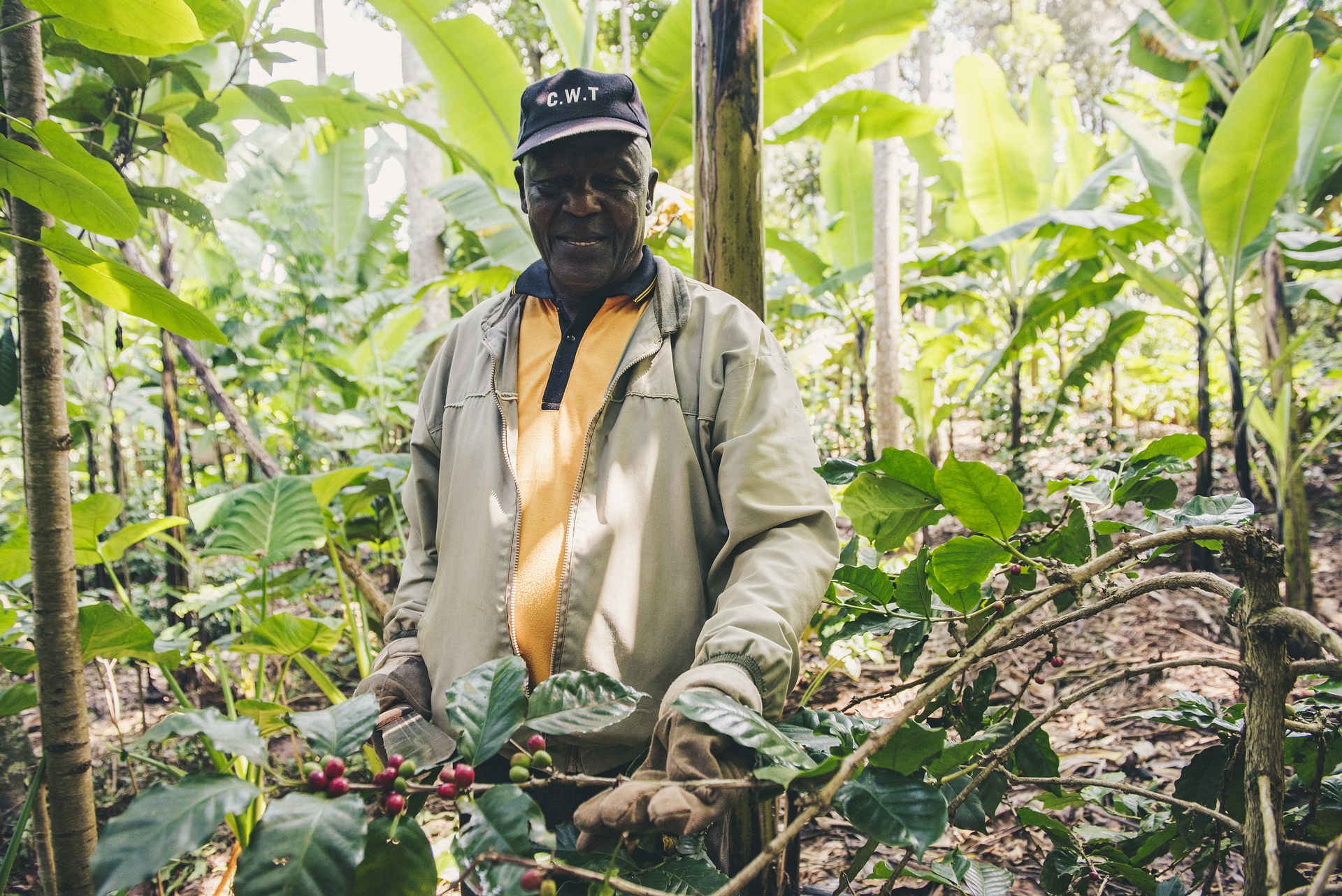 Smallholder farmers and carbon credits