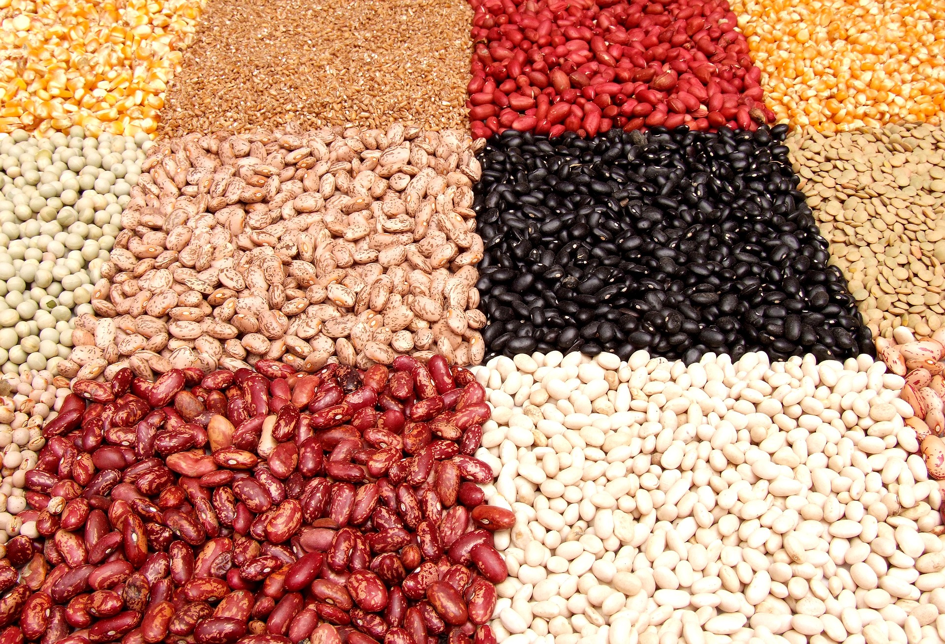 Zimbabwe small grains article