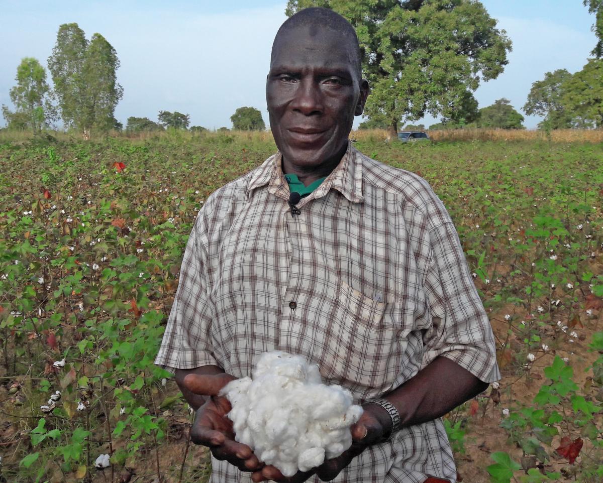 Reversing the tide of progress: Burkina Faso's cotton story